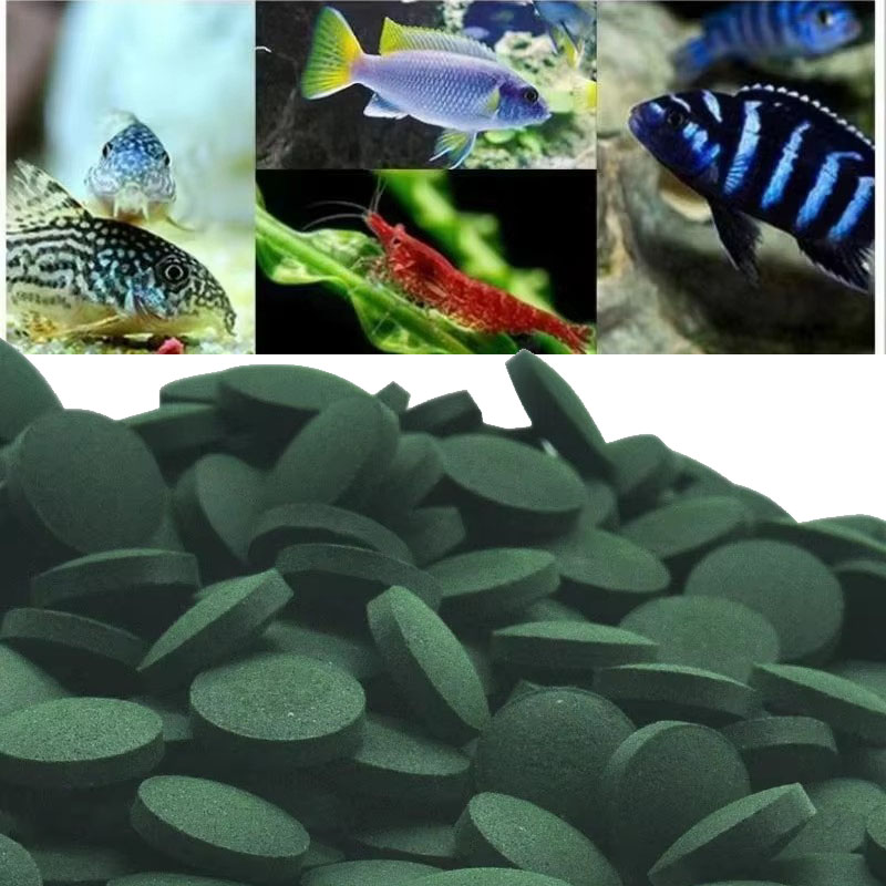 Spirulina Tablet Organic - 50/100/300/500 قطعة أقراص سبيرولينا دوامة الأعشاب