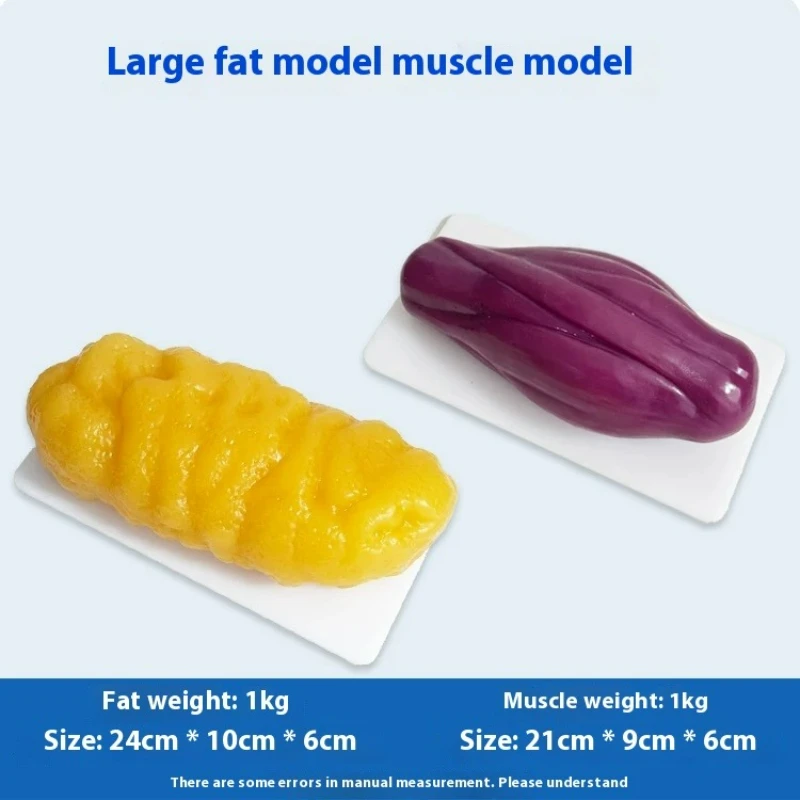 نماذج مقلدة للعضلات والدهون ال - مراجعة The Nutrition Fitness وسعره