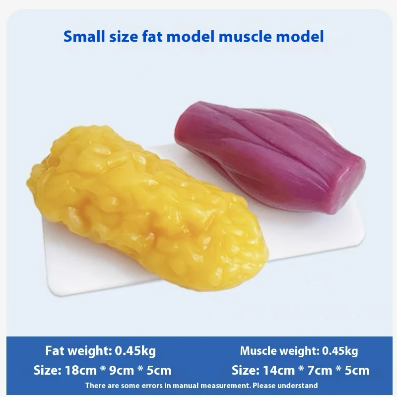 نماذج مقلدة للعضلات والدهون ال - مراجعة The Nutrition Fitness وسعره